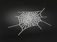 Sticker 3 D "toile d'araignée" gauche et droite